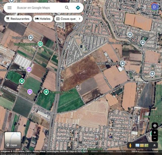 Foto de la galeria de imagenes